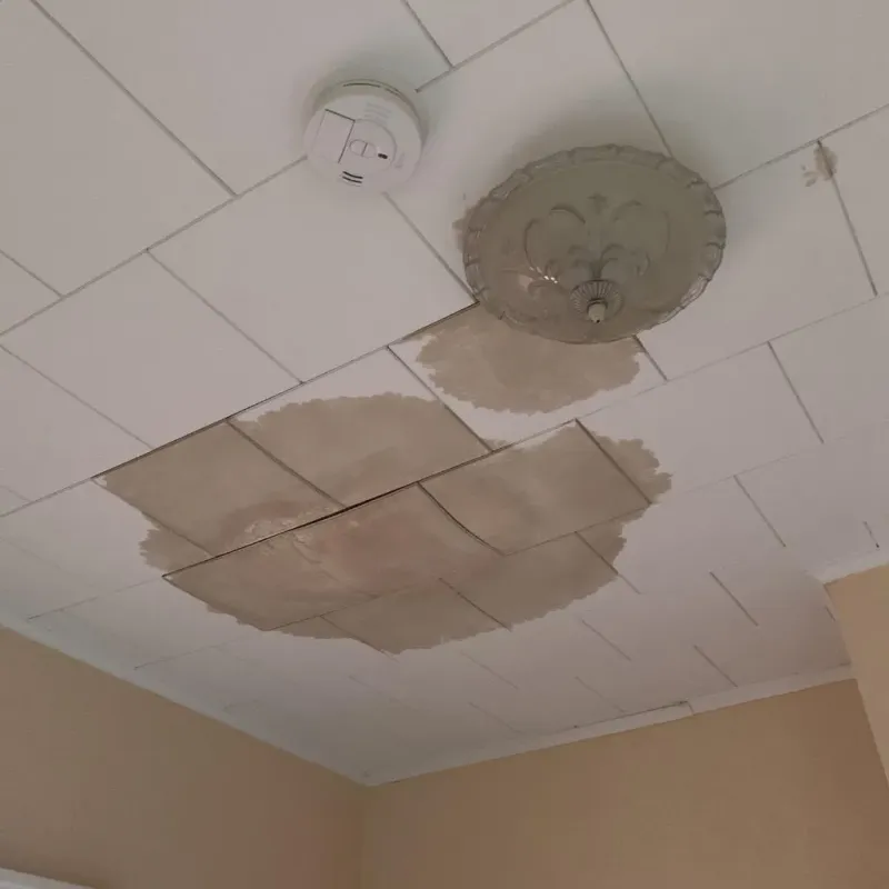 Ceiling Water Damage Repair in Colleyville, TX
