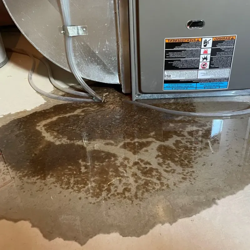 Pipe Burst and Leak Restoration in Colleyville, TX