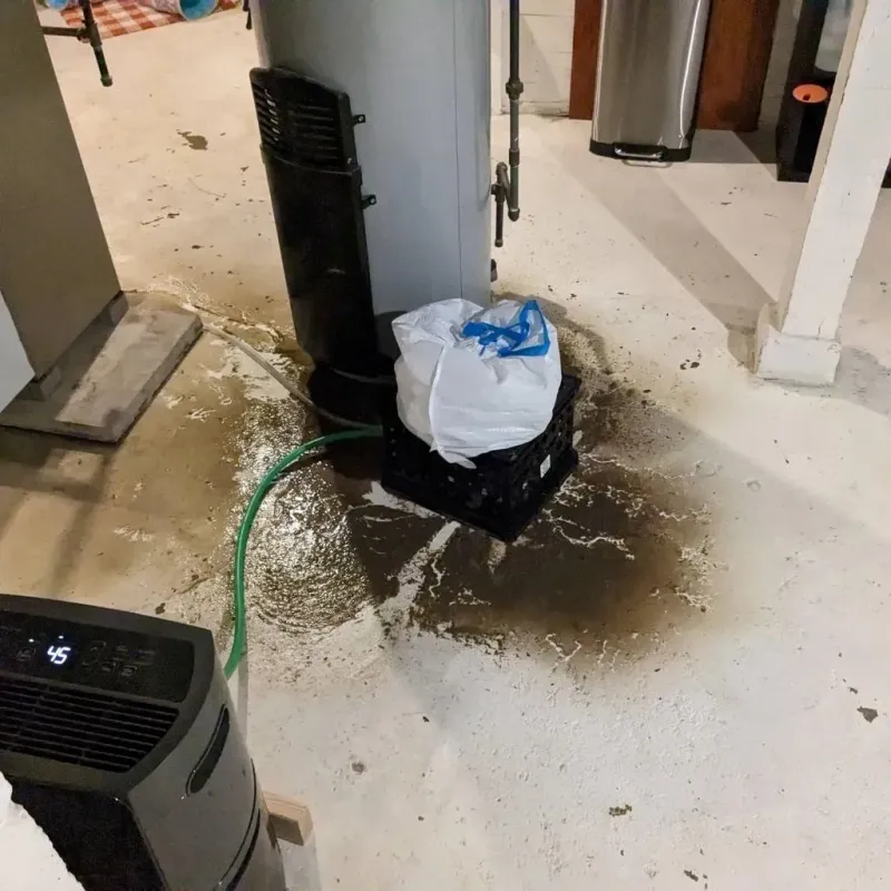Sewage Backup Cleanup Service in Colleyville, TX